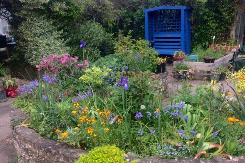 demo garden