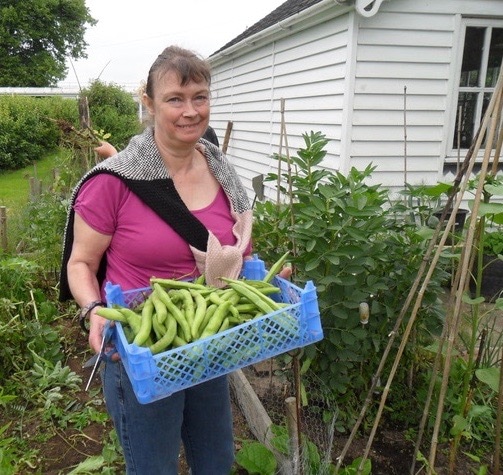 horticultural therapy